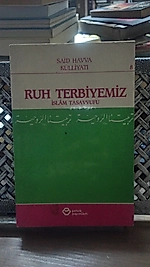 Said Havva Külliyatı 8 'İslam Tasavvufu' - Petek Yayınları