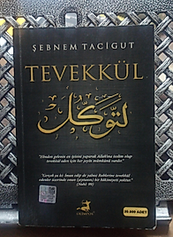 Tevekkül   Şebnem Tacigut